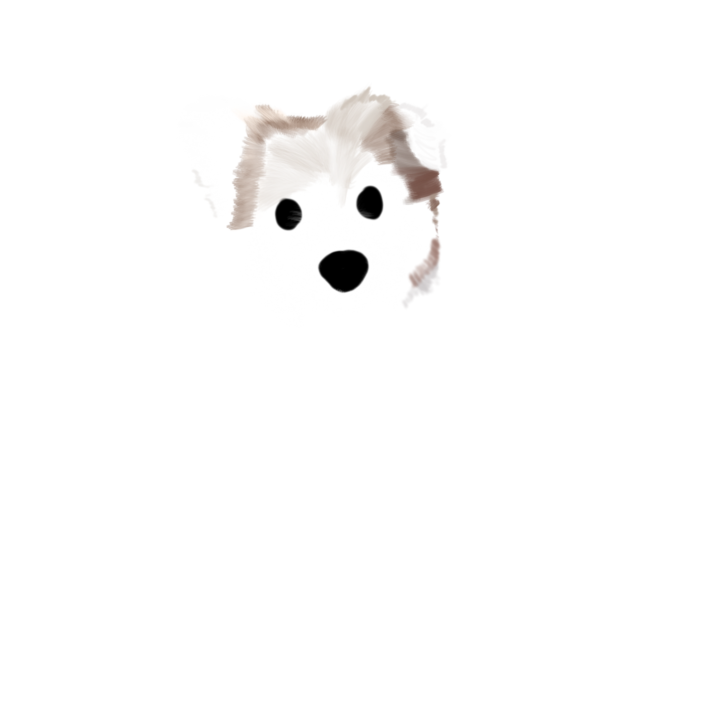67b80613a947cf83516dc1c0504350a2_1675129219_1666.png