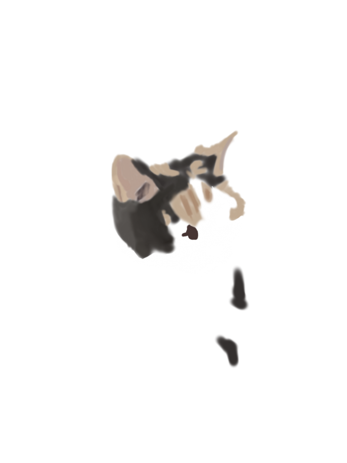 2a33dd17d22dc2068f3c09f9f7863ff0_1678428972_1156.png